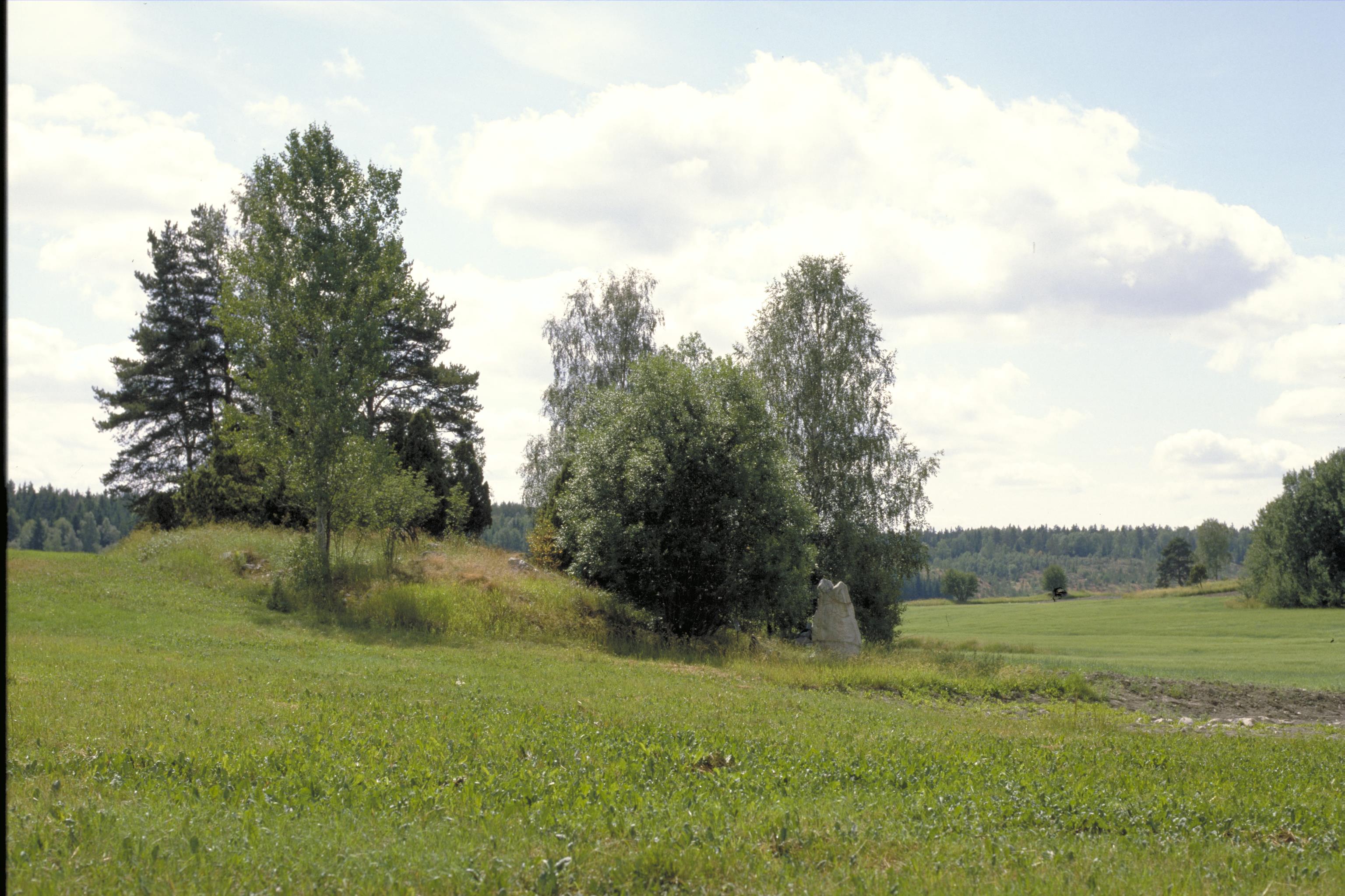 Anmärkning (övrig): Motljus

Beskrivning: Runstenen med omgivning.
 Fotosyfte: Publicering
